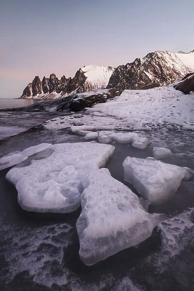 Tungeneset and the Okshornan Peaks during a winter sunrise, Senja Island, Norway