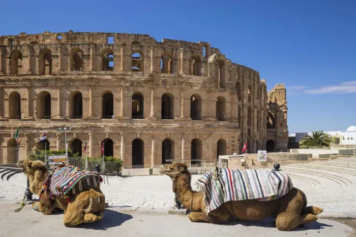 Framed Print : Tunisia, El Jem, Camels in front of Roman Amphitheatre Framed Print : Tunisia, El Jem, Camels in front of Roman Amphitheatre