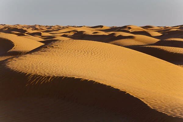 Tunisia, Ksour Area, Ksar Ghilane, Grand Erg Oriental Desert, sand dunes