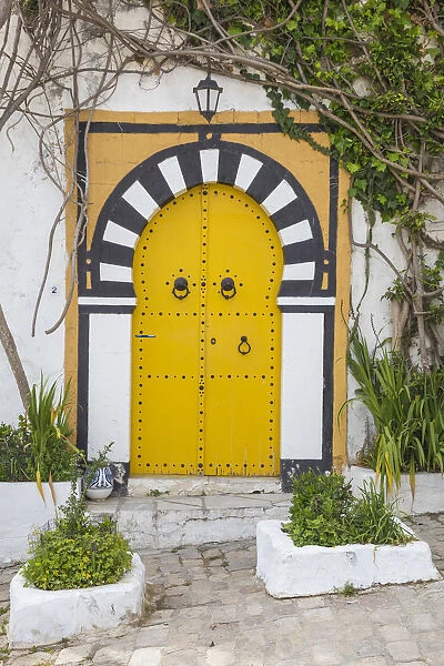 Tunisia, Picturesque whitewashed village of Sidi Bou Said, Yellow door