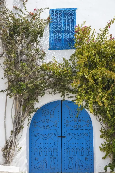 Framed Print : Tunisia, Picturesque whitewashed village of Sidi Bou Said Framed Print : Tunisia, Picturesque whitewashed village of Sidi Bou Said