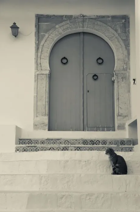 Framed Print : Tunisia, Sidi Bou Said, building detail Framed Print : Tunisia, Sidi Bou Said, building detail