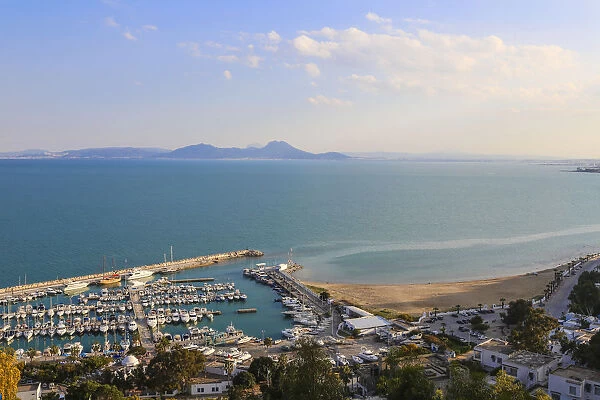 Tunisia, Sidi Bou Said, View of Sidi Bou Said marina