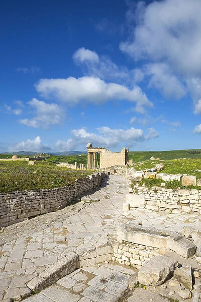Tunisia, Teboursouk, Dougga archaeological site, Roman road leading to The Capitol