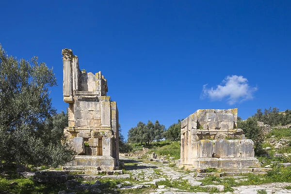 Tunisia, Teboursouk, Dougga archaeological site, Remains of Arch of Septimius Severus
