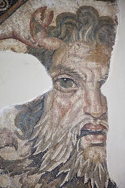 Tunisia, Tunis, Bardo Museum, Roman-era mosaics