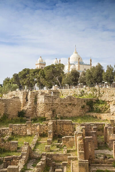 Tunisia, Tunis, Carthage, Byrsa Hill, Ruins infront of St Louis Cathedral