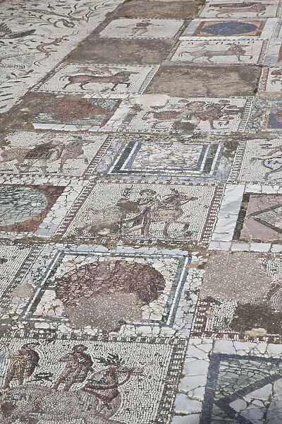 Tunisia, Tunis, Carthage, Roman-era Villa mosaiques
