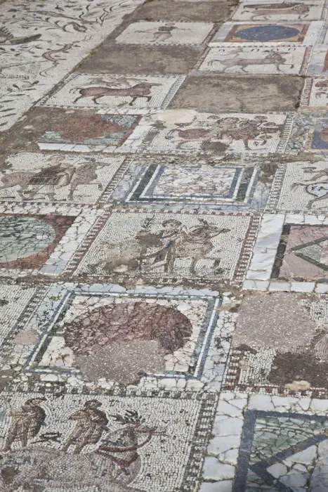 Framed Print : Tunisia, Tunis, Carthage, Roman-era Villa mosaiques Framed Print : Tunisia, Tunis, Carthage, Roman-era Villa mosaiques
