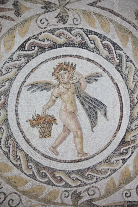 Framed Print : Tunisia, Tunisian Central Coast, El Jem, El Jem Museum, Roman-era mosaic Framed Print : Tunisia, Tunisian Central Coast, El Jem, El Jem Museum, Roman-era mosaic