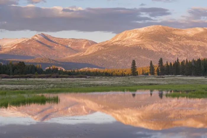 Framed Print : Tuolumne Meadows at sunset, Yosemite National Park, California, USA. Spring (June) 2015 Framed Print : Tuolumne Meadows at sunset, Yosemite National Park, California, USA. Spring (June) 2015