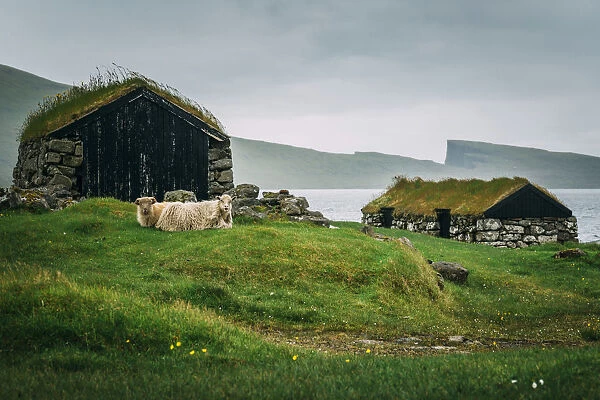 Turf-roofed houses for sheeps, Vagar, Faroe Islands, Europe