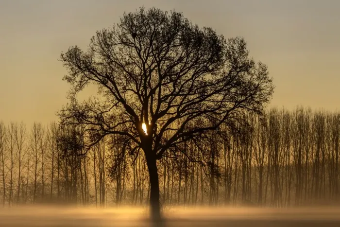 Framed Print : Turin province, Piedmont, Italy, Europe. Magic sunrise in the Piedmont plain