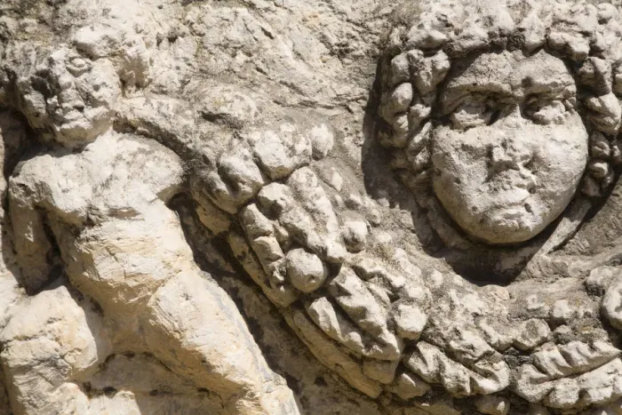 Framed Print : Turkey, Eastern Turkey, Gaziantep, Gaziantep museum, Madusa head on Roman Sarcophagus Framed Print : Turkey, Eastern Turkey, Gaziantep, Gaziantep museum, Madusa head on Roman Sarcophagus