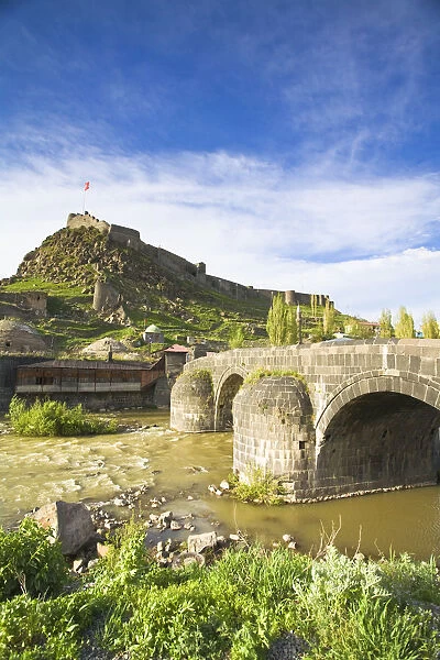 Turkey, Eastern Turkey, Kars, 15th century Tas Kopru, Stone bridge and Kars casstle