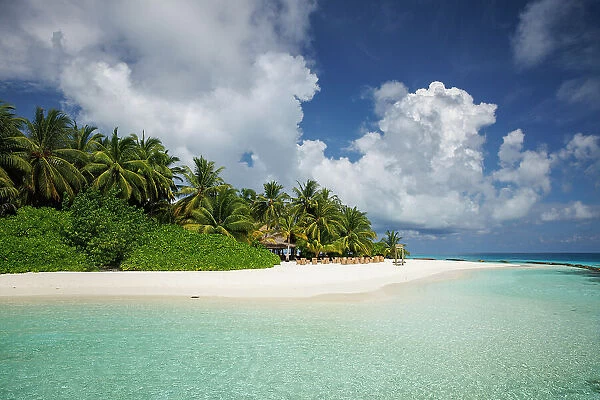 Turquoise waters of the Indian Ocean, golden sands and tropical palm trees on an island in North Ari Atoll, the Maldives