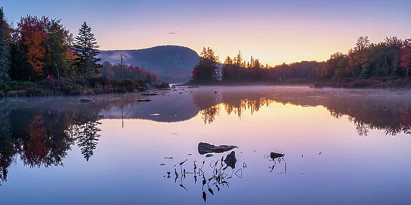 Turtlehead Pond at Dawn, Groton State Forest, Marshfield, Vermont, New England, USA