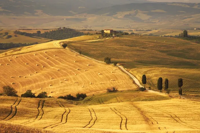 Framed Print : Tuscan Countryside, Pienza, Italy Framed Print : Tuscan Countryside, Pienza, Italy