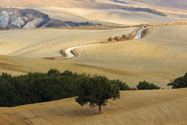 Tuscan hills, Orcia Valley, Tuscany, Italy