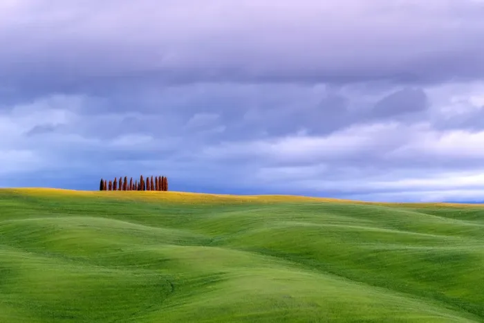 Framed Print : Tuscan landscape, rolling hills with wheat fields and cypress trees Framed Print : Tuscan landscape, rolling hills with wheat fields and cypress trees