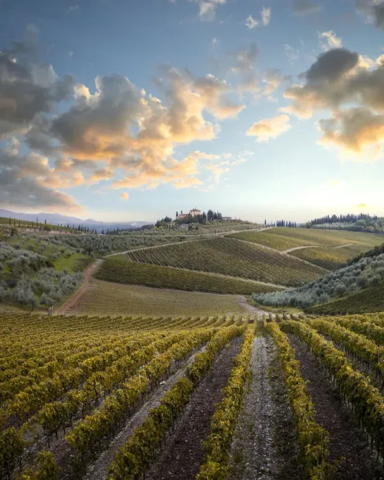 Framed Print : Tuscany countryside near Radda in Chianti, Siena province, Tuscany, Italy Framed Print : Tuscany countryside near Radda in Chianti, Siena province, Tuscany, Italy