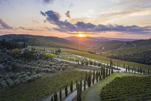 Tuscany countryside near Radda in Chianti, Siena province, Tuscany, Italy