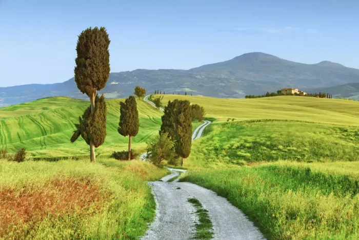 Framed Print : Tuscany landscape with cypresses - Italy, Tuscany, Siena, Val d Orcia, Pienza Framed Print : Tuscany landscape with cypresses - Italy, Tuscany, Siena, Val d Orcia, Pienza