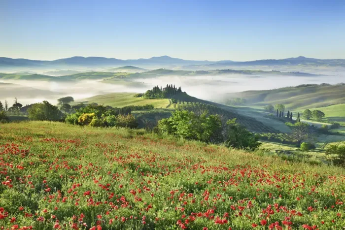 Framed Print : Tuscany landscape in fog with poppy field in front of Podere Belvedere - Italy, Tuscany Framed Print : Tuscany landscape in fog with poppy field in front of Podere Belvedere - Italy, Tuscany