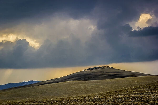 Tuscany, Val d Orcia, arid landscape with cypress trees, stormy weather