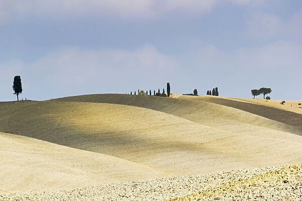 Tuscany, Val d Orcia, arid landscape with cypress trees