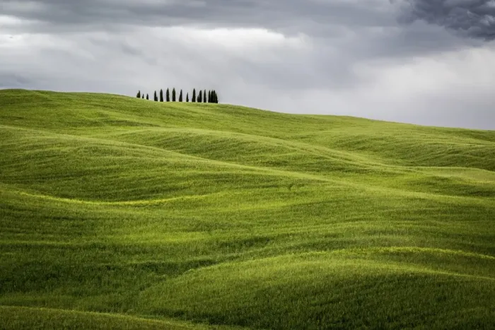Framed Print : Tuscany, Val d Orcia, Italy. Cypress trees in green meadow field with clouds gathering Framed Print : Tuscany, Val d Orcia, Italy. Cypress trees in green meadow field with clouds gathering