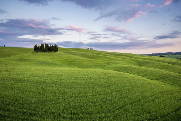 Framed Print : Tuscany, Val d Orcia, Italy. Cypress trees in green meadow field with clouds gathering Framed Print : Tuscany, Val d Orcia, Italy. Cypress trees in green meadow field with clouds gathering