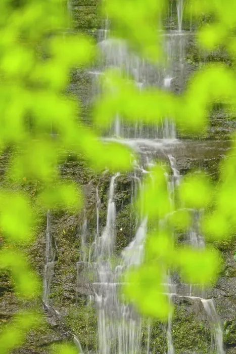 Framed Print : Twin Falls, Buffalo National River, Arkansas, USA