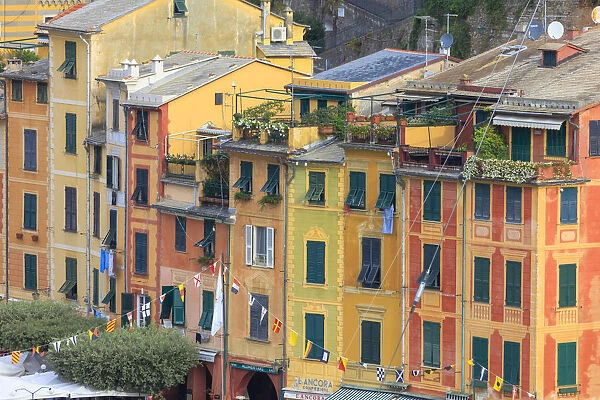 Typical architecture of colored houses, Portofino, province of Genoa, Liguria, Italy