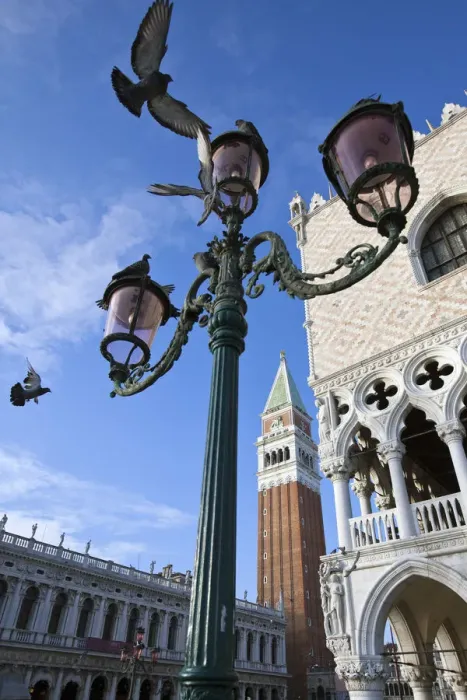 Framed Print : A typical lamp post in Saint Marks Square framing the Bell Tower of Saint Mark Framed Print : A typical lamp post in Saint Marks Square framing the Bell Tower of Saint Mark