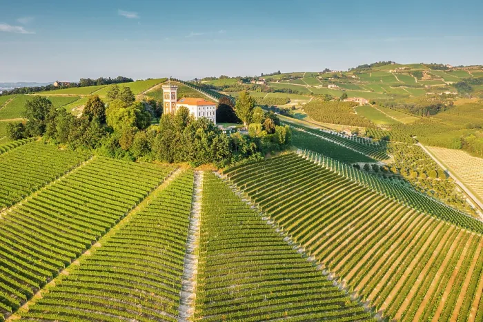 Framed Print : Typical Langhe castle surrounded by vineyards. Langhe regionr, Cuneo province, Piedmont, Italy Framed Print : Typical Langhe castle surrounded by vineyards. Langhe regionr, Cuneo province, Piedmont, Italy