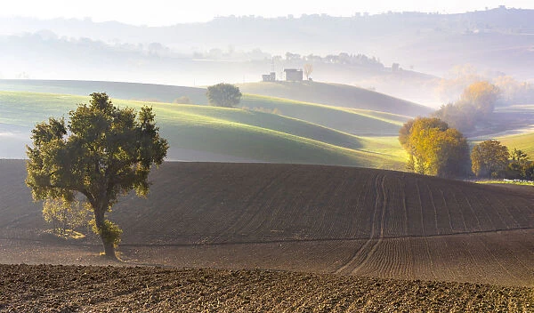 Typical Marches landscape, Monte San Giusto village, Macerata district, Marche, Italy