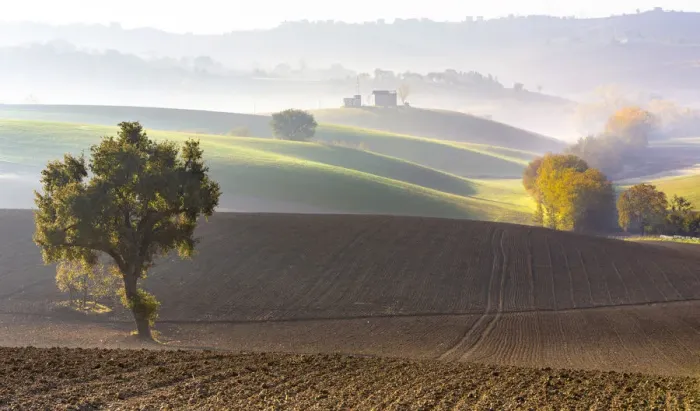 Framed Print : Typical Marches landscape, Monte San Giusto village, Macerata district, Marche, Italy