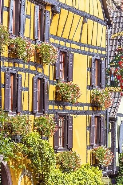 Typical timber framed houses, Riquewihr, Alsace, France