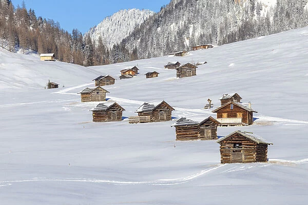 Typical walser huts. Pfunds Tschey, Pfunds, Inntal, Tirol, Osterreich, Austria, Europe