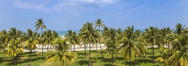 U. S. A, Miami, Miami beach, South Beach, Ocean drive, View over Lummus Park towards