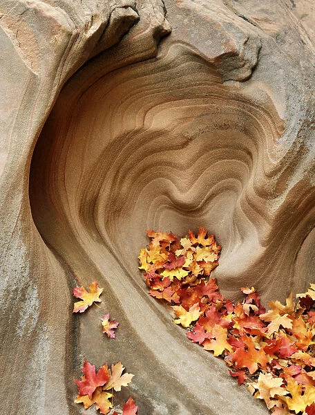 U. S. A. Utah, Zion National Park, Heart Shaped Rock