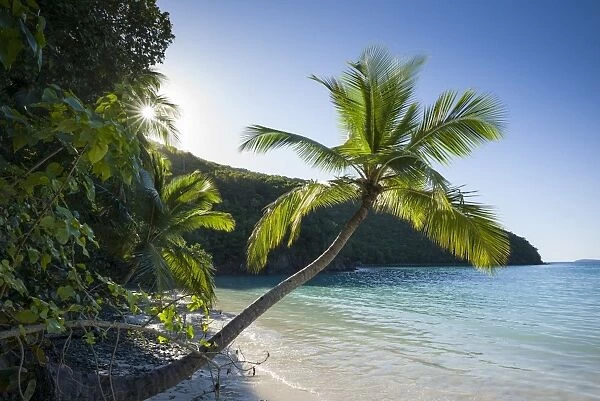 U. S. Virgin Islands, St. John, Trunk Bay, Trunk Bay Beach