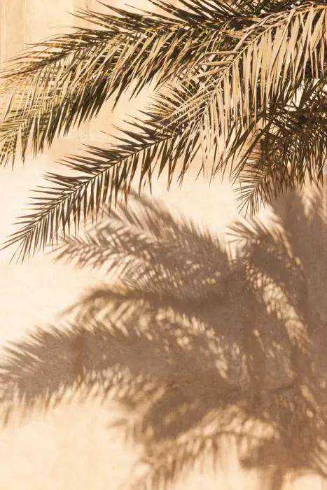 Framed Print : UAE, Dubai, Bur Dubai, Al Fahidi Historic District, palm tree shadows Framed Print : UAE, Dubai, Bur Dubai, Al Fahidi Historic District, palm tree shadows