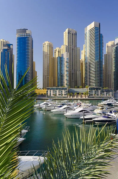 UAE, Dubai, Dubai Marina