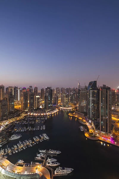 UAE, Dubai, Dubai Marina, elevated view of the marina, dawn