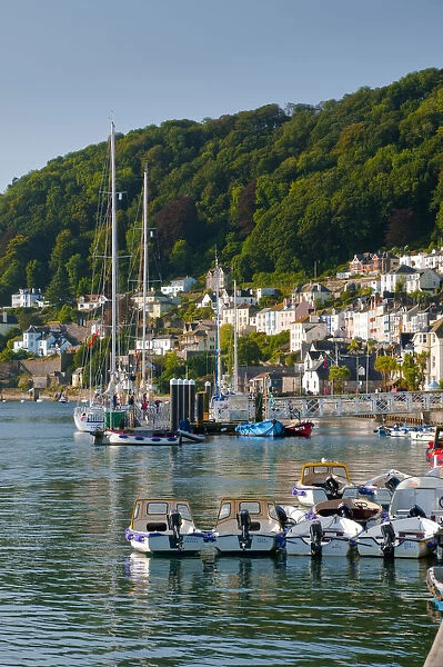 UK, Devon, Dartmouth, River Dart