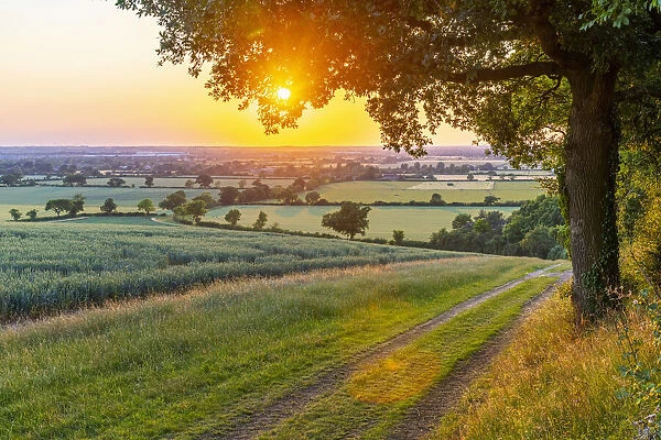 UK, England, Bedfordshire, countryside near Haynes