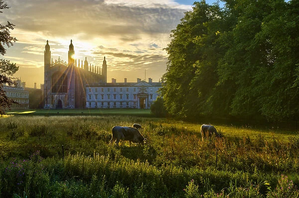 UK, England, Cambridge, The Backs and Kings College Chapel
