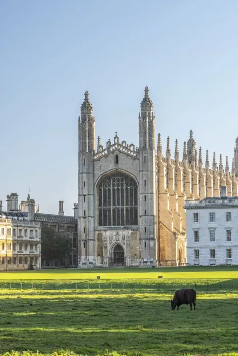 Framed Print : UK, England, Cambridge, The Backs, Kings College, Kings College Chapel Framed Print : UK, England, Cambridge, The Backs, Kings College, Kings College Chapel